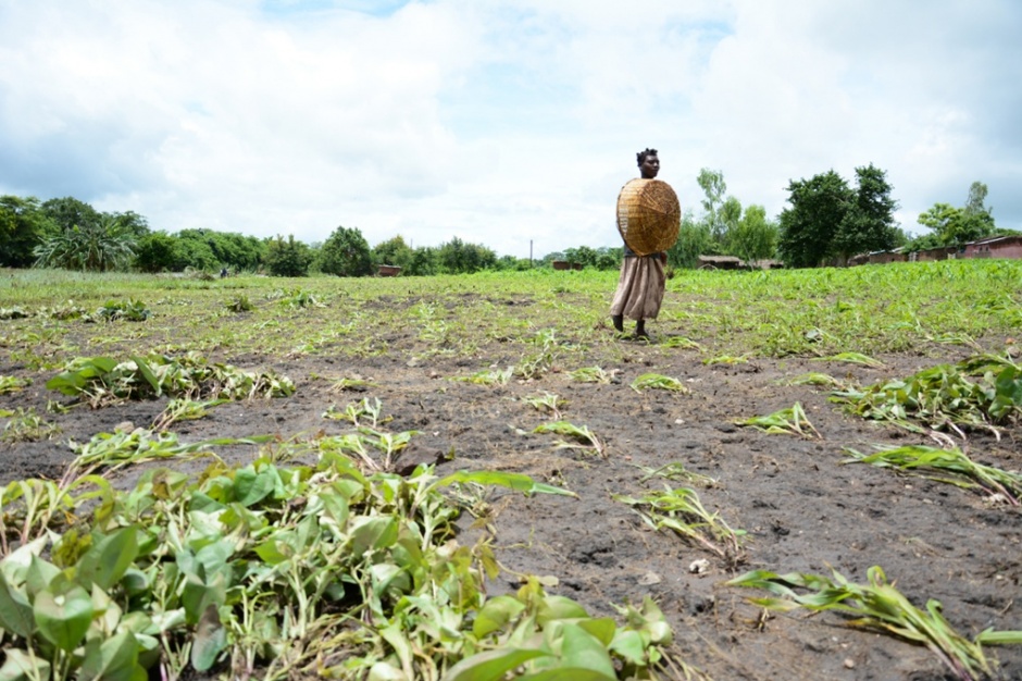 Climate impacts in Malawi